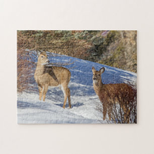 Two White-tailed Deer in Winter Jigsaw Puzzle