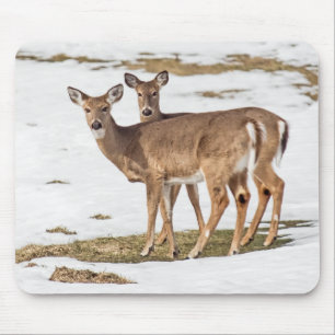 Two White-tailed Deer On Alert Mouse Pad