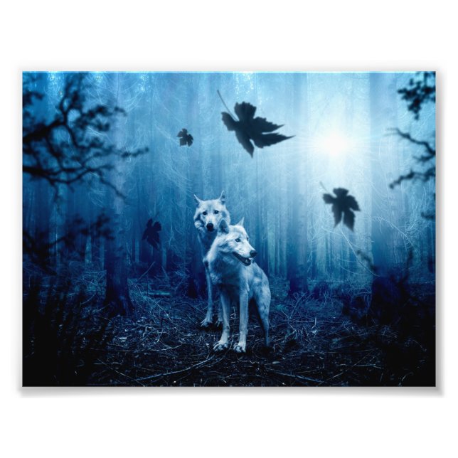 Two white wolves in the wild forest photo print (Front)