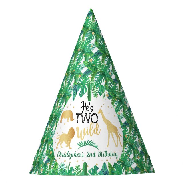 Two Wild Boys Second Birthday Party Hat (Front)
