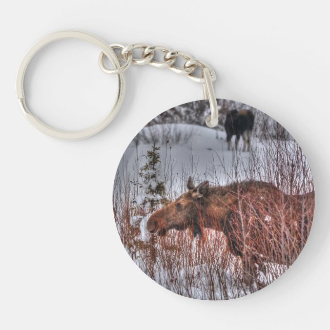 Two Wild Canadian Moose in Winter Marsh Key Ring (Front)
