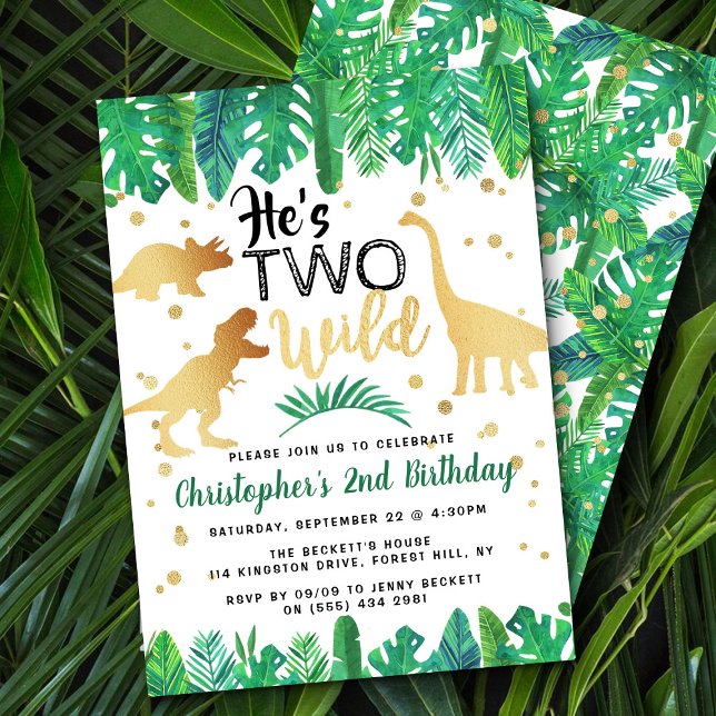 Two Wild Dinosaur Boys 2nd Birthday Invitation (Creator Uploaded)