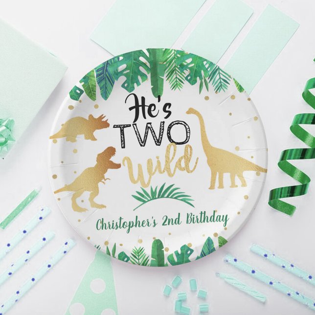 Two Wild Dinosaur Boys 2nd Birthday Party Paper Plate (Creator Uploaded)