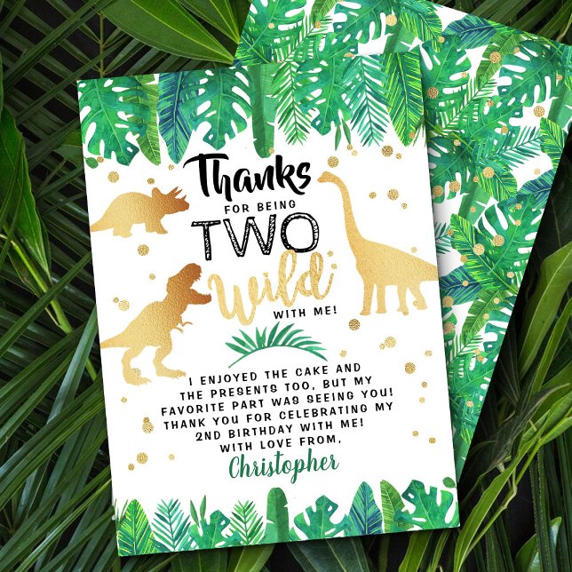 Two Wild Dinosaur Boys Second Birthday Thank You Card (Creator Uploaded)