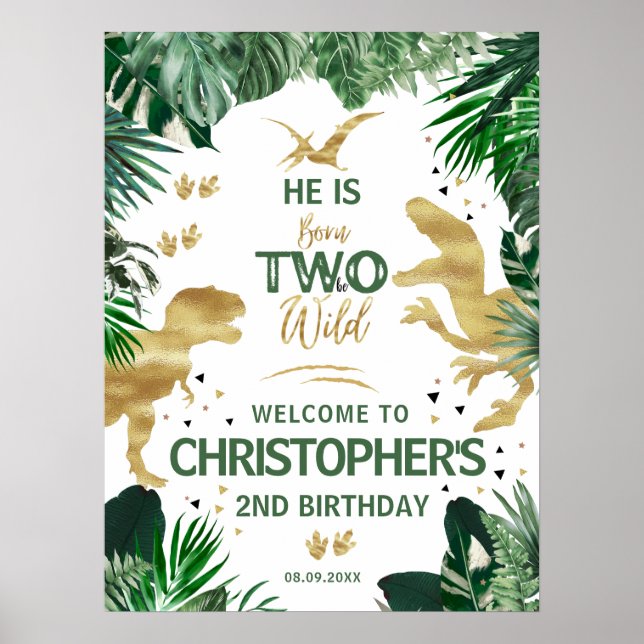 Two Wild Dinosaur kids 2nd Birthday Party Welcome Poster (Front)