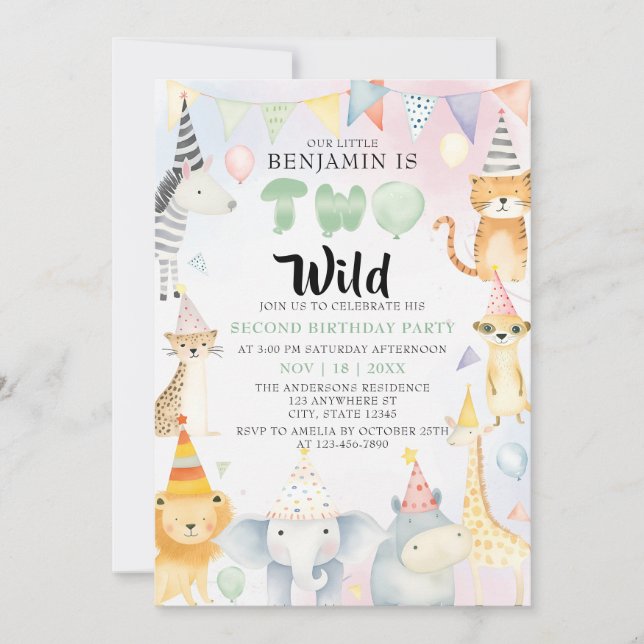 Two Wild Safari Animals Boy 2nd Birthday Party Invitation (Front)