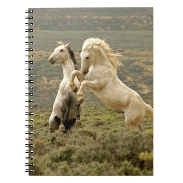 Two Wild Stallions Fight Notebook (Front)