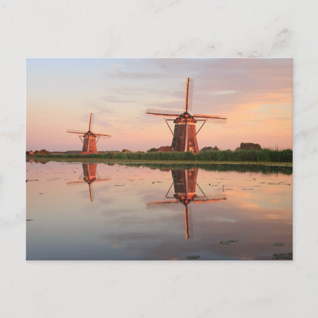 Two windmills with reflection at sunset postcard (Front)