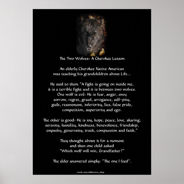 TWO WOLVES CHEROKEE STORY Wolf Art Poster (Front)