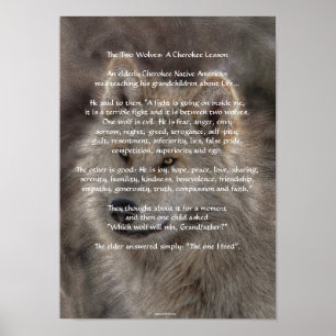 TWO WOLVES CHEROKEE TALE Art Poster