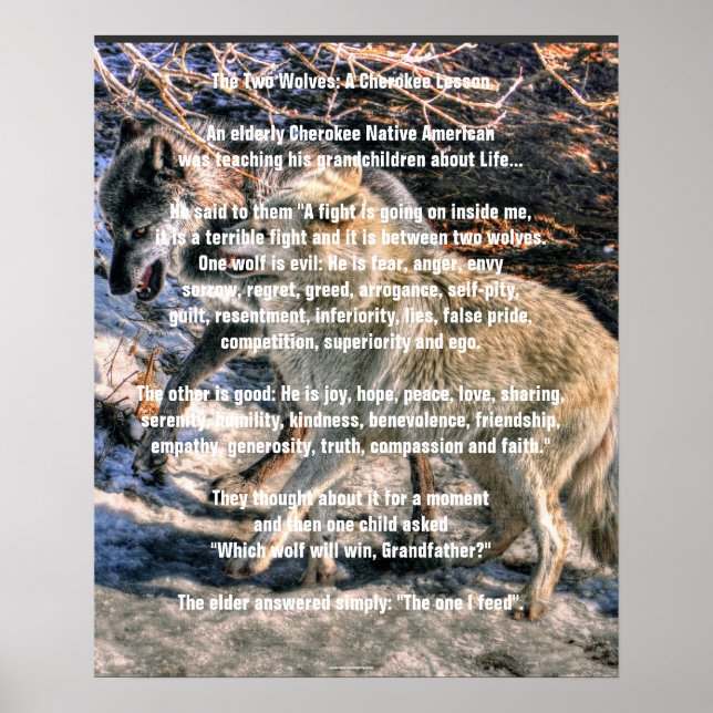 TWO WOLVES CHEROKEE TALE Art Poster (Front)
