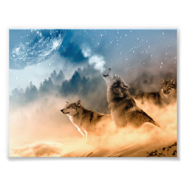 Two wolves howl at the full moon in forest photo print (Front)