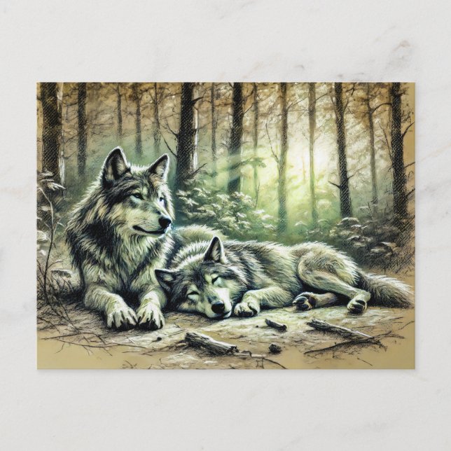 Two Wolves Resting in the Forest Postcard (Front)