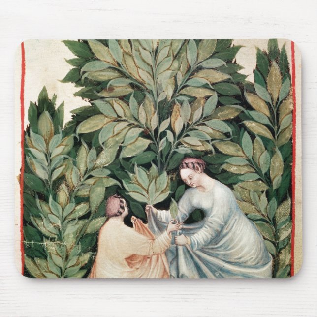 Two women picking sage, from 'Tacuinum Mouse Pad (Front)