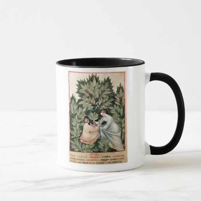 Two women picking sage, from 'Tacuinum Mug (Right)