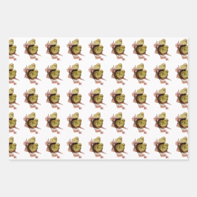  two yellow chicks, Easter Wrapping Paper Sheet (Front)