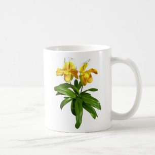 Two Yellow Lady Slipper Orchids Coffee Mug