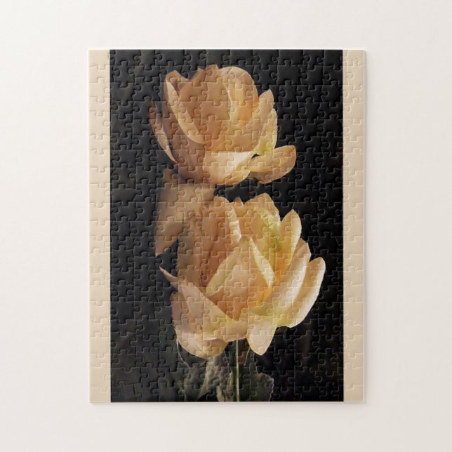 Two, yellow roses, puzzle (Vertical)