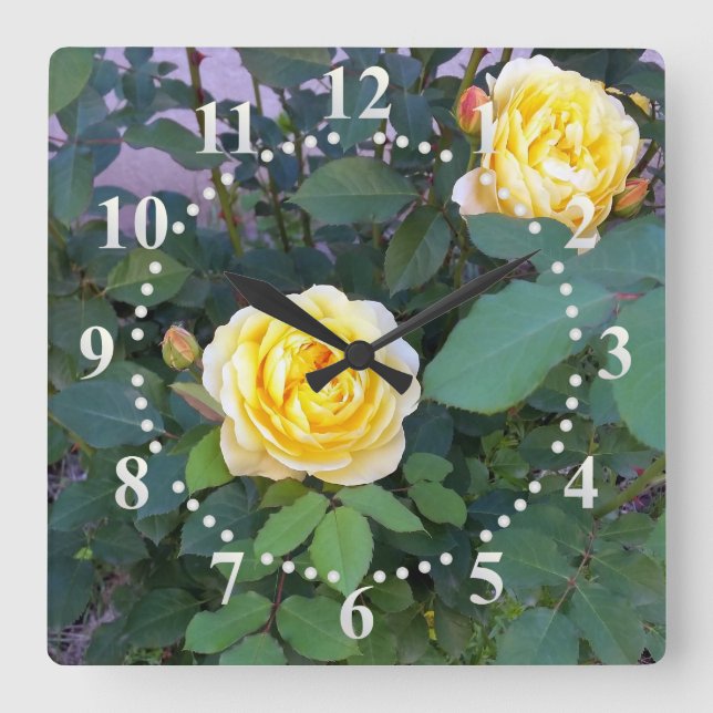 two yellow roses square wall clock (Front)