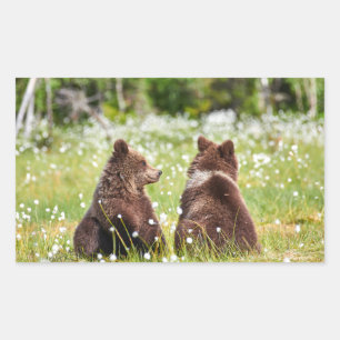 Two young brown bears sticker