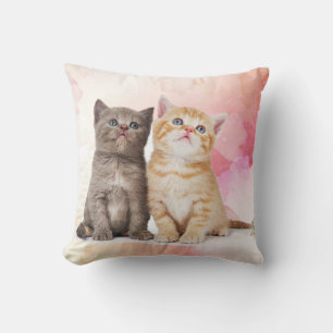 Two Young Cats Cute Grey Kitten and Yellow Kitten Cushion