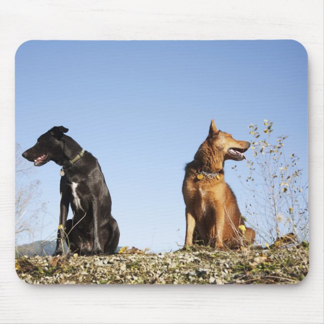 Two young dogs looking in opposite directions. mouse pad (Front)