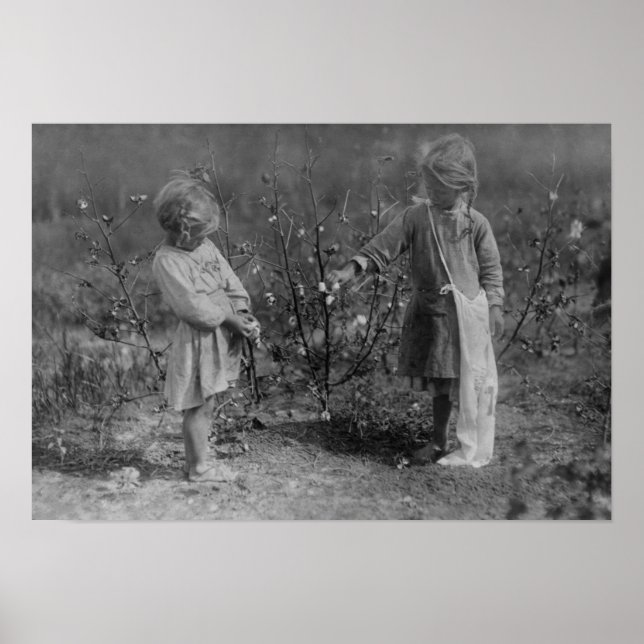 Two Young Girls Picking Cotton Photograph Poster (Front)