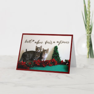 Two Young Kittens with Christmas Decor  Holiday Card