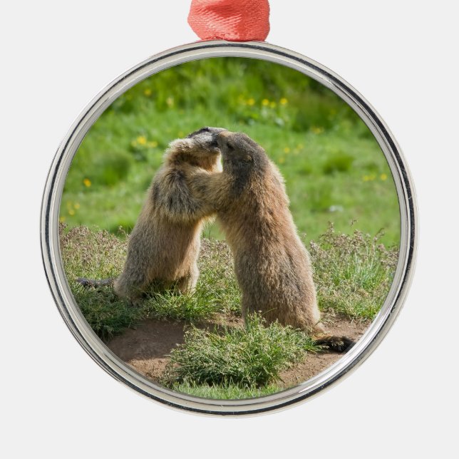 two young marmots metal tree decoration (Front)