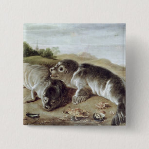 Two Young Seals on the Shore, c.1650 15 Cm Square Badge