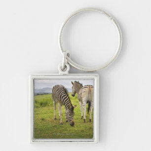 Two zebras, South Africa Key Ring