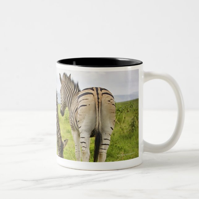 Two zebras, South Africa Two-Tone Coffee Mug (Right)