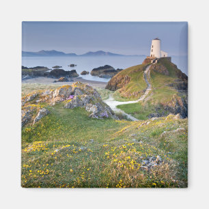 Twr Mawr Lighthouse On Llanddwyn Island Magnet