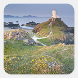 Twr Mawr Lighthouse On Llanddwyn Island Square Sticker