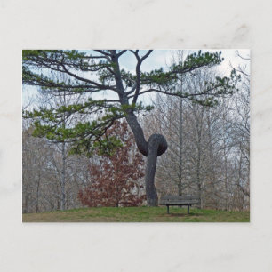 Twsited Tree Postcard