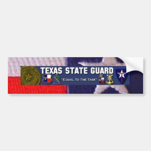 TX flag square, TXSG License plt full Bumper Sticker