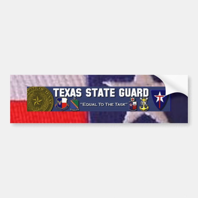 TX flag square, TXSG License plt full Bumper Sticker (Front)