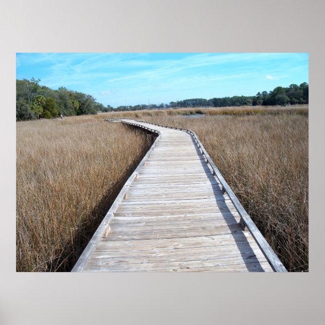 Tybee Island Georgia pathway poster photograph (Front)