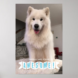Tyberius Says You’re Awesome - Poster