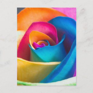 Tye Dye single rose Postcard