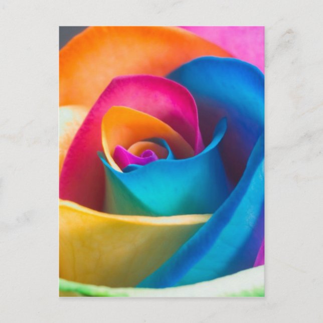 Tye Dye single rose Postcard (Front)
