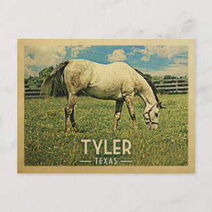 Tyler Texas Horse Farm - Vintage Travel Postcard