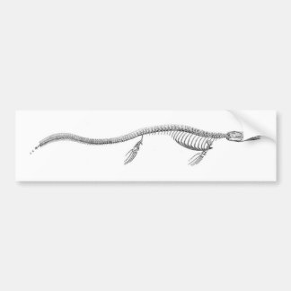 Tylosaurus Skeleton Bumper Sticker
