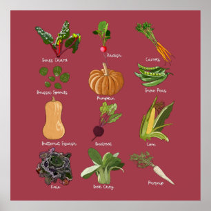 Types of Autumn Veggies Fall Vegetable Harvest Poster