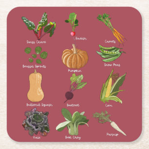 Types of Autumn Veggies Fall Vegetable Harvest Square Paper Coaster