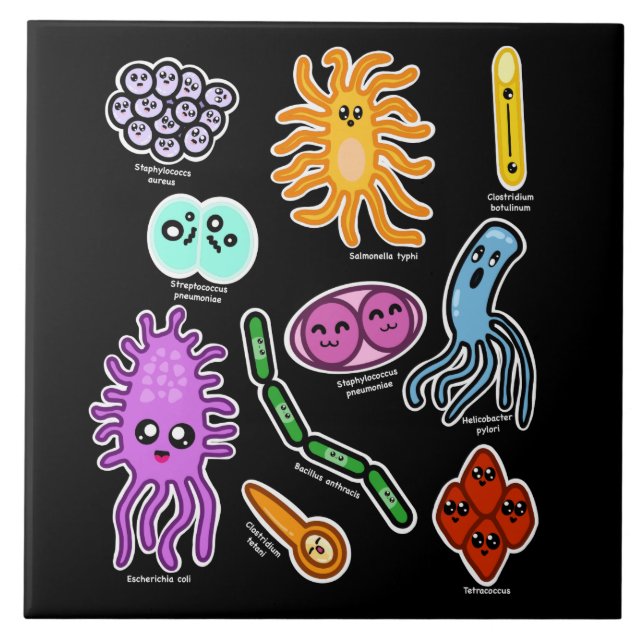 Types Of Bacteria Ceramic Tile (Front)