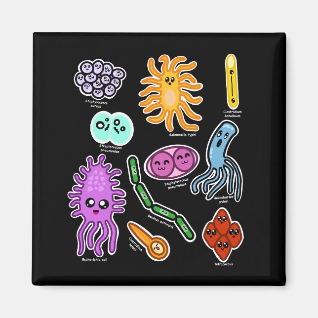 Types Of Bacteria Magnet (Front)