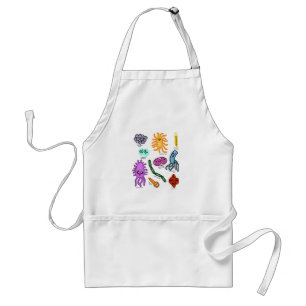 Types Of Bacteria Standard Apron