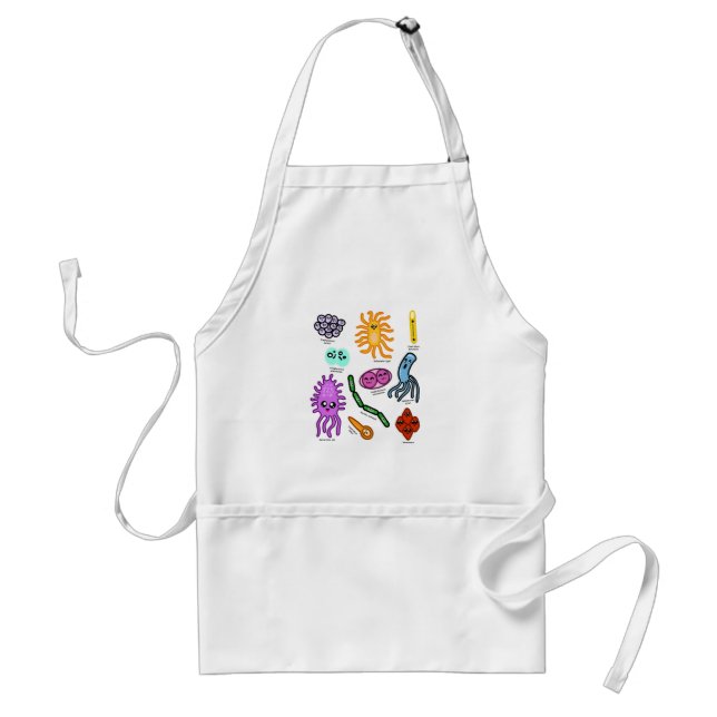 Types Of Bacteria Standard Apron (Front)