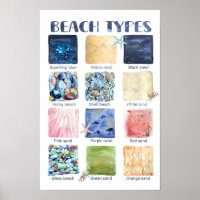 Types of Beaches Educational